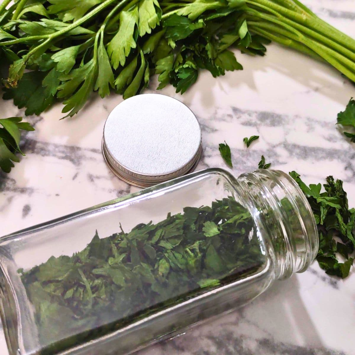 Microwave Magic: Dry Parsley in Minutes for Fresh Flavor